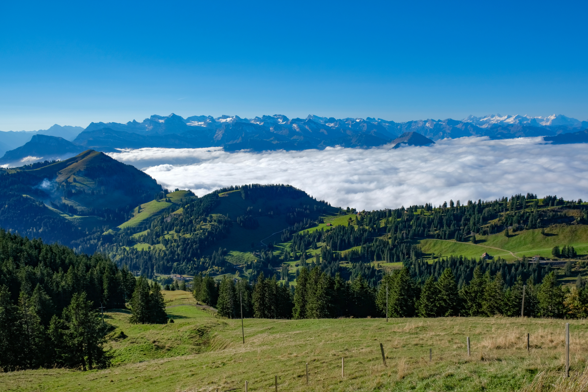mount rigi (4).webp